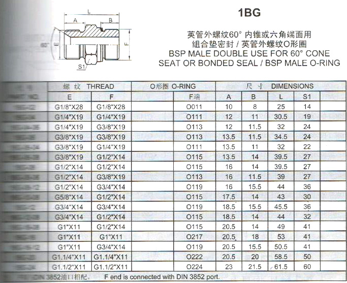 1GB-2.jpg